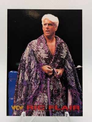 Ric Flair 1998 Bandai New Japan Pro Wrestling WCW Card #76