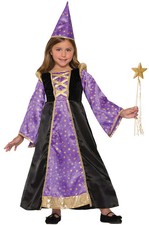 Winsome Wizard Girls Child Costume Large