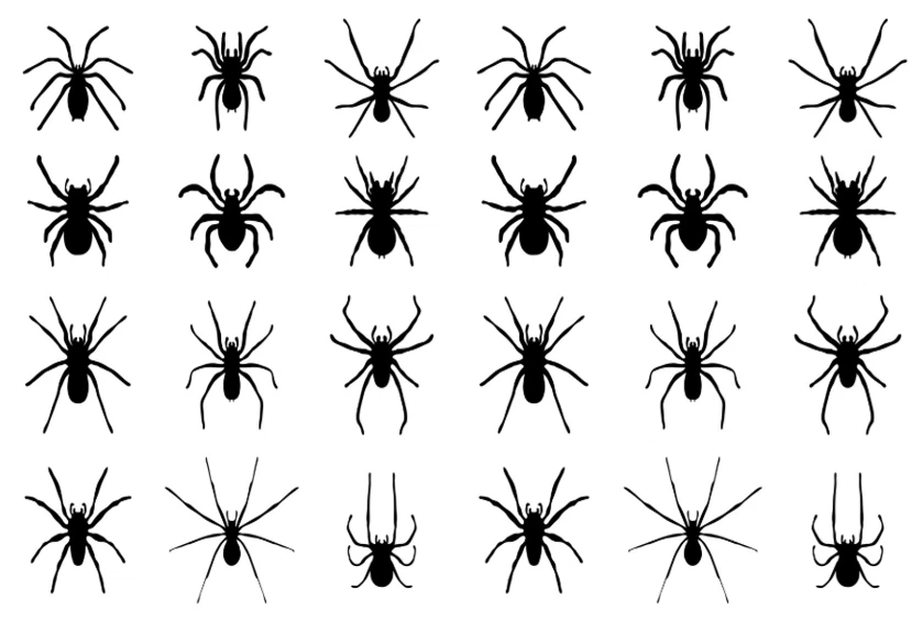 24X Schwarze Spinnen Cupcake Toppers Essbares Waffelpapier Fairy Cake Toppers - Bild 1 von 1