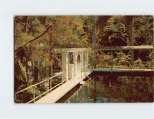 Postcard Swimming Pool Thomas A. Edison House Fort Myers Florida USA