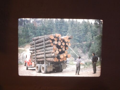 lot50 30 Rare 35 MM Slides Logging and Fishing in Canada 1963 Ontario Lake River