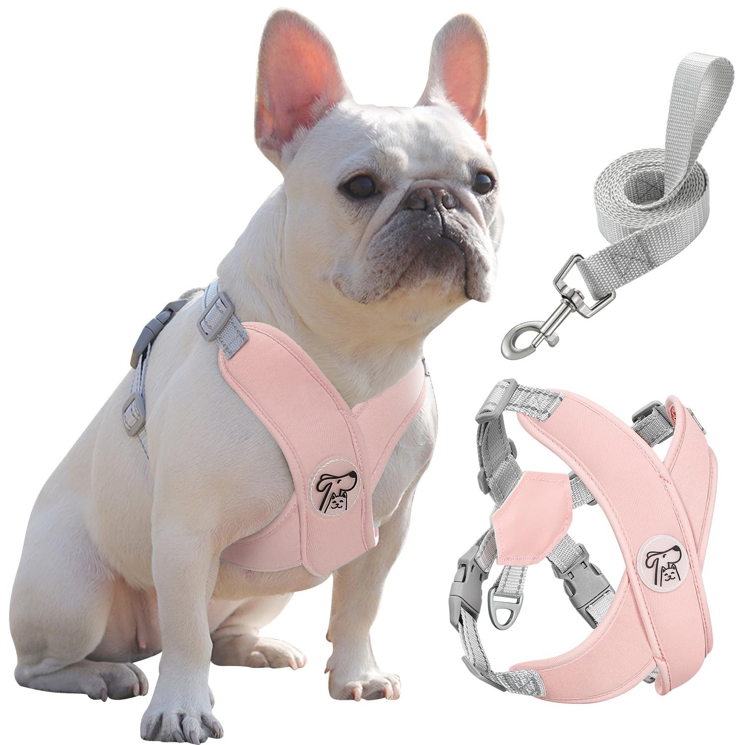 Harnais pour chiens noir en nylon réglable avec laisse et ceinture