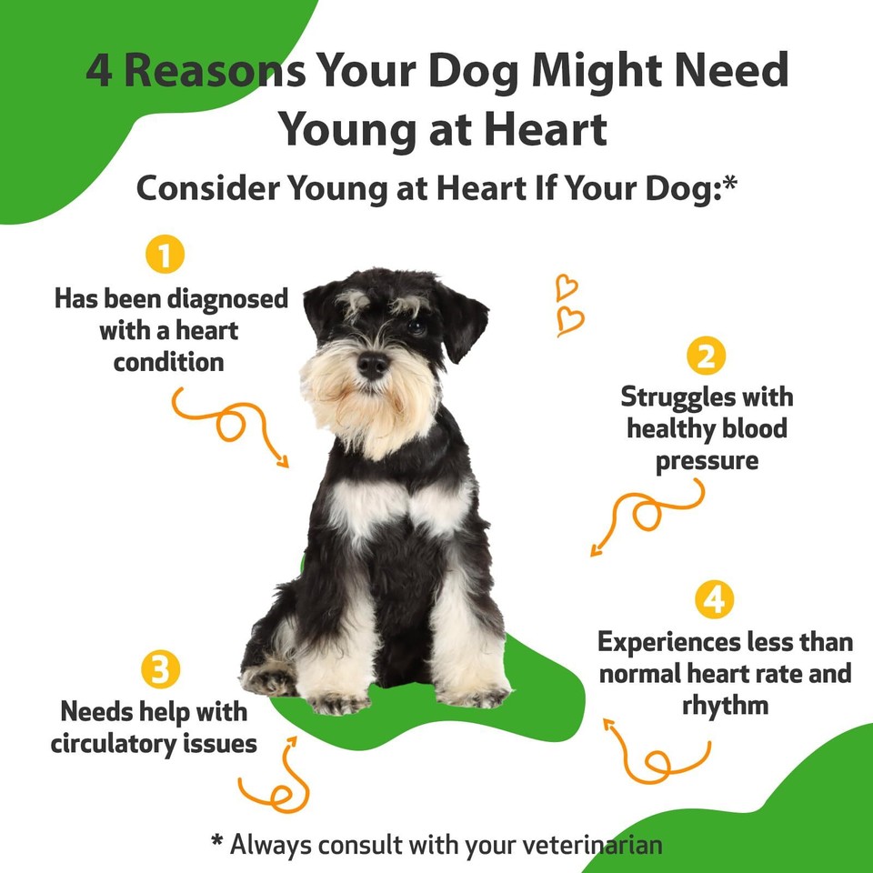 Young at Heart for Dogs VetFormulated Supports Cardiovascular
