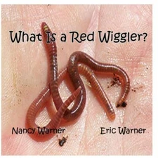What Is A Red Wiggler?