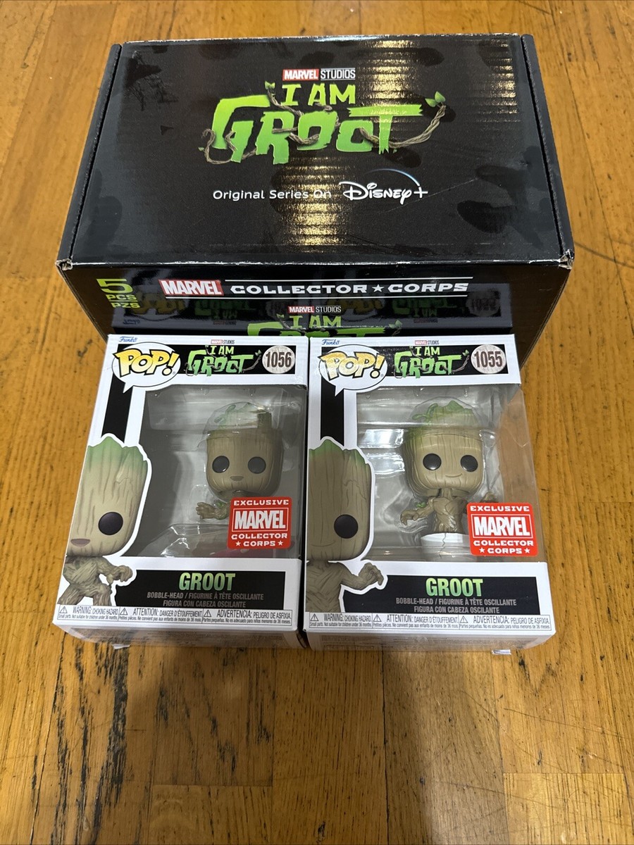 MARVEL - FUNKO POP! マーベル　アイアム グルート限定BOX Amazon.com: Funko Marvel Collector Corps Subscription Box, I