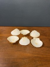 6 White Sea Shells Baking Scallop Shells 3.5 - 4" Decor