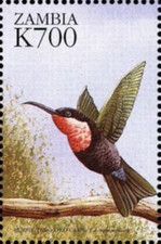 Zambia #Mi1046 MNH 1999 Fauna Flora World Purple Throated Carib 827b
