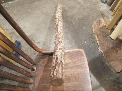 Branches D'arc Take Down Bear Archery - 40 Lb - Vert Verre Et Bubinga - Ambidextre - Neuf