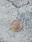 1909-S VDB Lincoln Wheat Cent 1c Penny Coin Uncertified Circulated Ungraded
