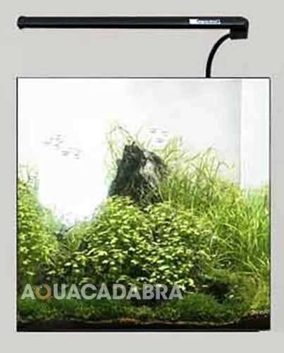 Aqua One Complete Aquarium Setups