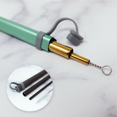 2 Reusable Stainless Steel Straws with Case | Boba, Bubble Tea & Smoothies