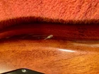Picture 6 of 12
