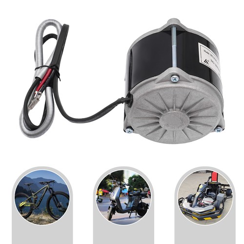 Spazzole DC Motore Elettrico Con Riduzione Cambio Motore Bici Elettrica 500W