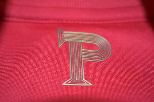 REPLICA PORTUGAL NATIONAL TEAM 2020 2021 HOME SHIRT SOCCER SIZE M FOOTBALL MEN - Picture 10 of 19