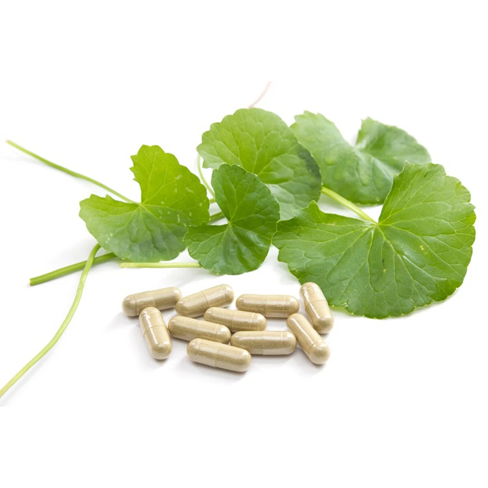 LIVE WELL SUPPLEMENTS Gotu Kola 500mg Capsules Full Spectrum Grade *A* Premium Quality! FREE P&P