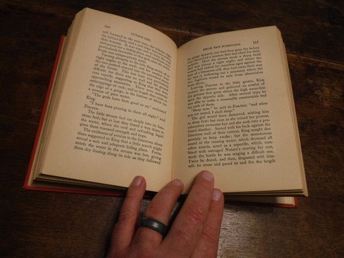 Jungle Girl Edgar Rice Burroughs 1932 Hardcover Grosset & Dunlop illustriert - Bild 9 von 20