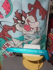 eBay Auction Picture
