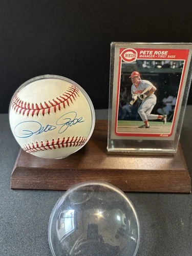 Pete Rose Autographed Baseball + Card Cincinnati Reds