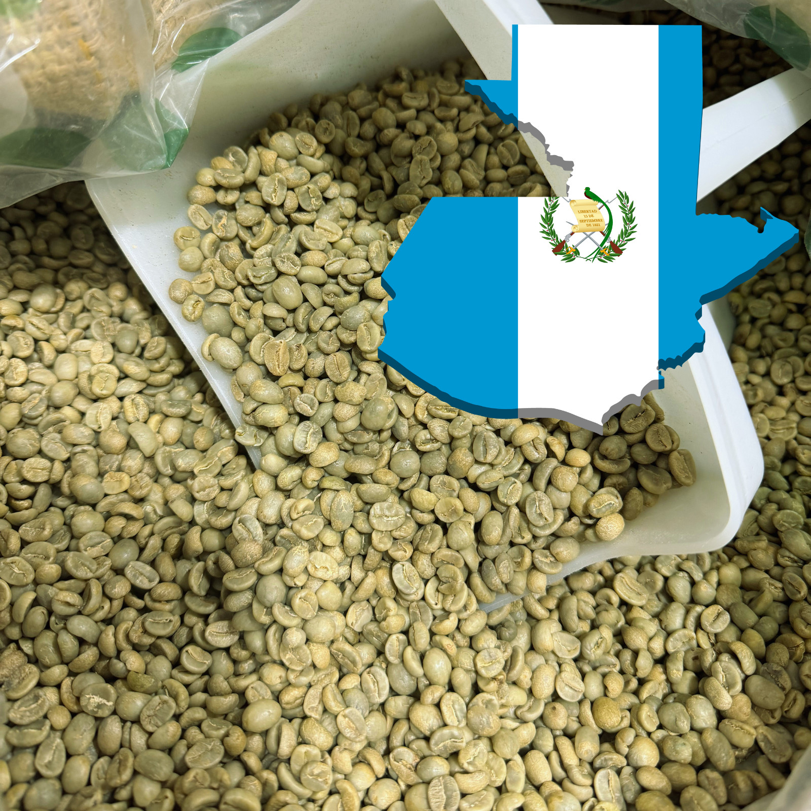 5 LB GUATEMALA, UNROASTED GREEN COFFEE BEANS FIVE POUND - AR