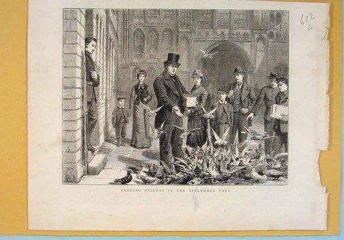 Original Old Antique Print Pigeons Feeding Guildhall Yard London 1877 Victorian