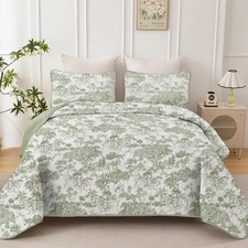 Botanical Quilt Set Full Size Sage Green 3 Pieces Toile Floral Plants Printed
