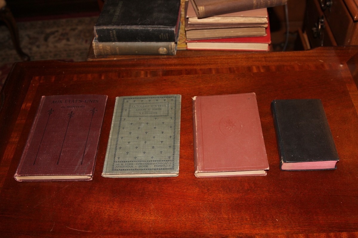 Antique French Book Bundle - 19th & Early 20th Century