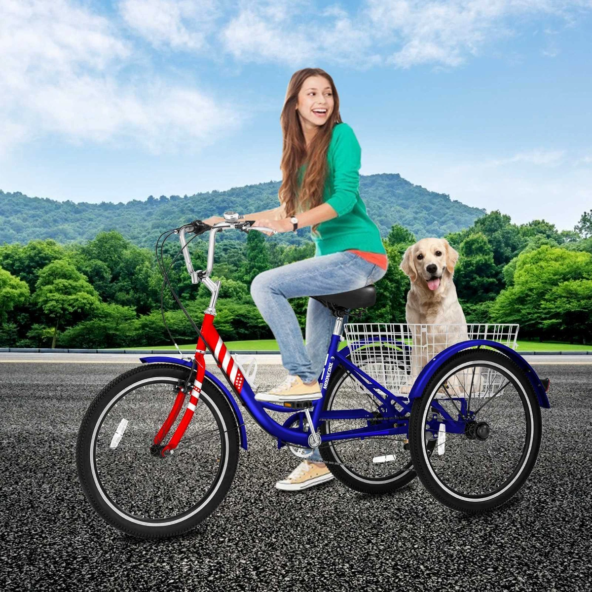 Sun traditional best sale trike 7 speed