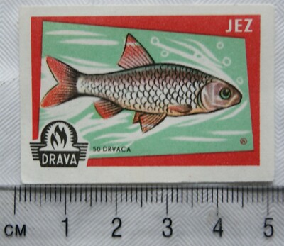 Vintage Matchbox Label - Drava - Fish - Jez