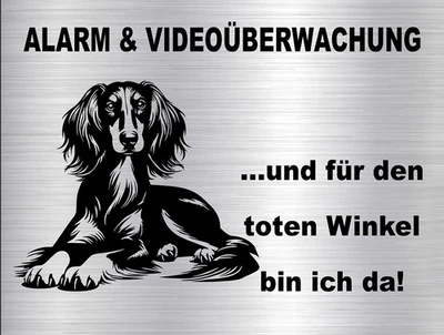SALUKI Windhund Hundewarnschild SCHILD Türschild im edlen Edelstahl-Look #63 - Bild 1 von 4