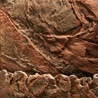 Bild 6 von 20