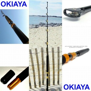 saltwater fishing pole