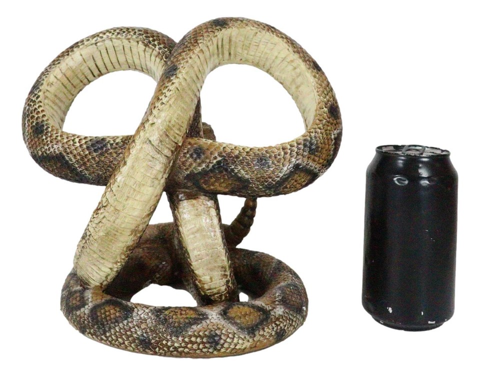 Rustic Western Coiled Diamondback Rattlesnake Snake Double Wine Bottles