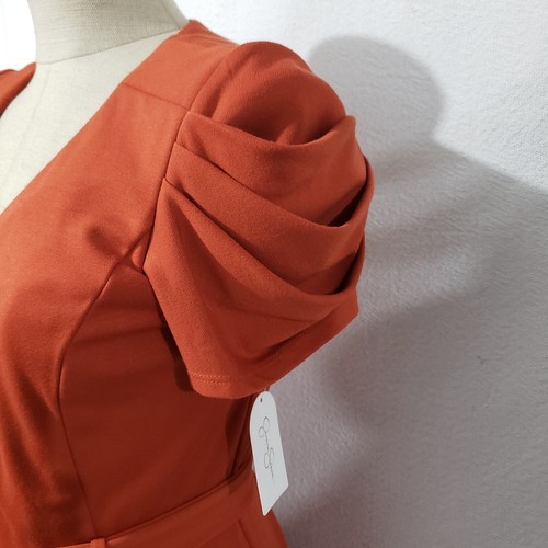 NWT Jessica Simpson Dress Pleated Sleeve Belted Rusty Orange Pockets Front Zip 6 - Picture 4 of 18