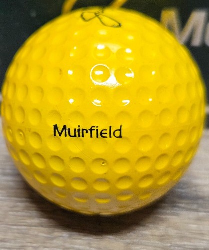 RARE New Vintage Jack Niklaus Muirfield MacGregor Balata 100 Golf Balls HTF - Picture 3 of 5