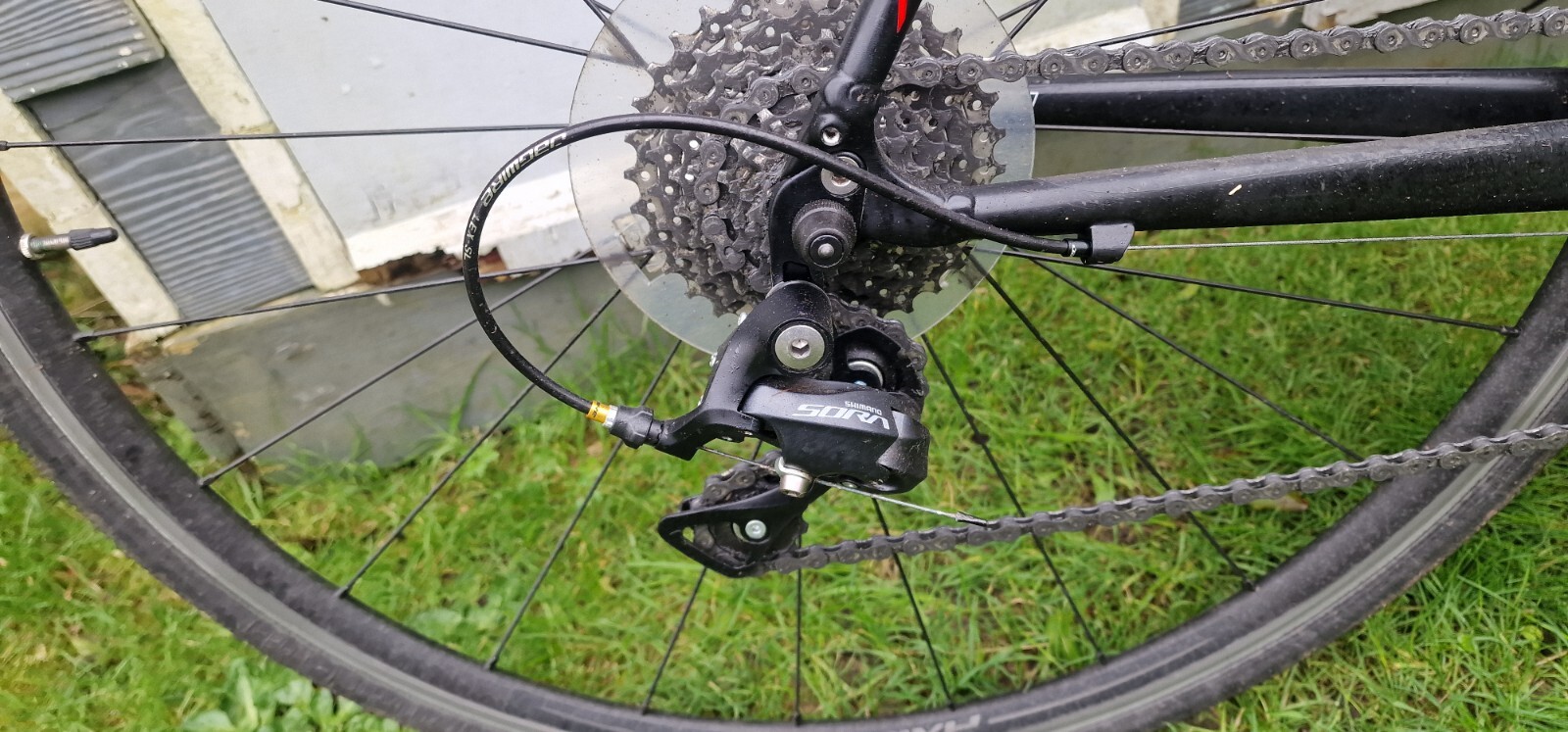 specialized allez ebay