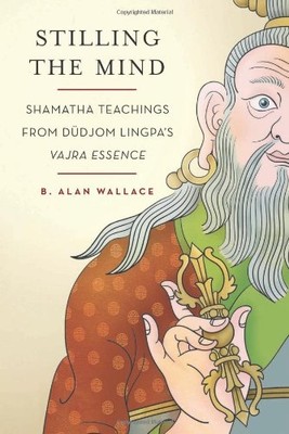 Stilling the Mind: Shamatha Teachings from Dudjom Lingp - Paperback NEW Wallace,