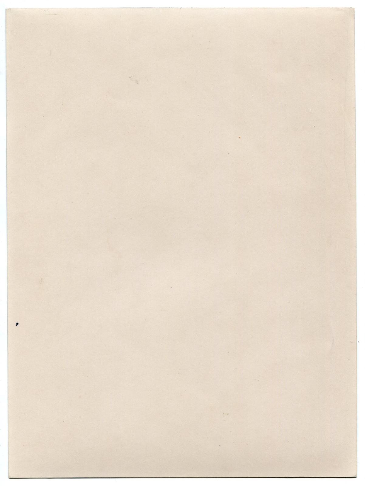 Color Photogram - 1975 Silver Print - 