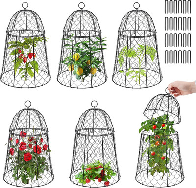 6 Pack Garden Cloches for Plants, Sturdy Plant Protectors from Animals, Chicken 