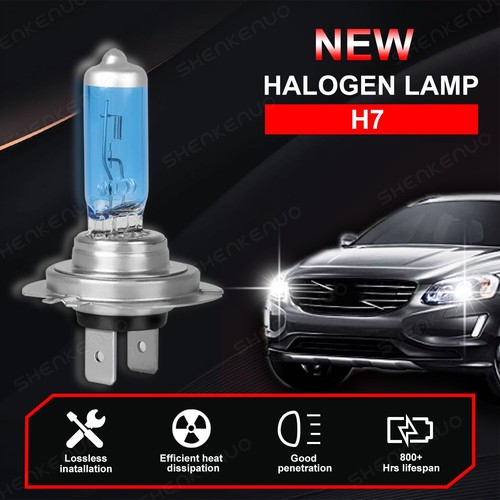 Para Lexus ES300 1997-2003 2X H7 Bombillas Halógenas Faro Luz Alta Blanco 4200K - Imagen 3 de 11
