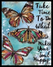 Take Time To Do What Makes Soul Happy Butterflies Refrigerator Fridge MAGNET