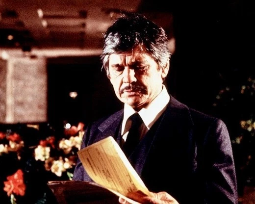 Ein Mann räumt auf * DVD Spannender Reißer mit Charles Bronson * Pidax Neu - Bild 2 von 4