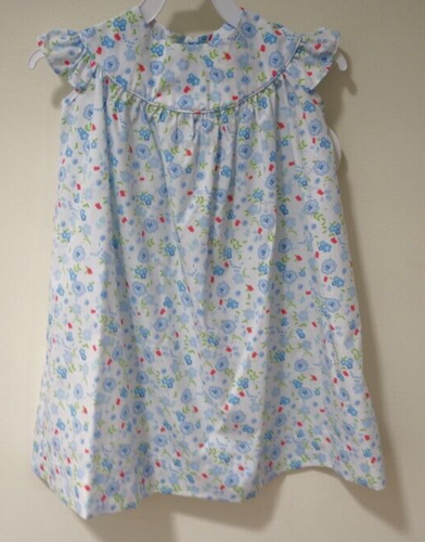 NWT Classic Whimsy Blue Floral Lucy Dress Girl's Size 2T - 第 1/2 張圖片