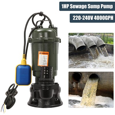 Submersible Sump Pump,1HP 750W Cast Iron Sewage Pump 4000GPH w/Float Switch 220V