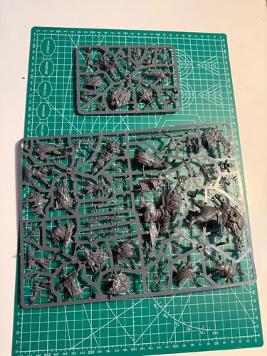 Warhammer Age Of Sigmar Dominion Box Set Kruleboyz Orruk Army.