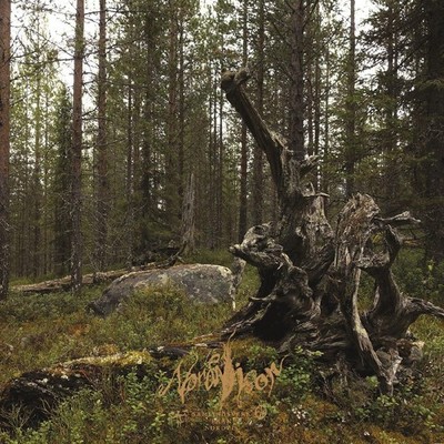 Various Artists Nordvisor: Ett Samlingsverk Från Nordvis (Vinyl)