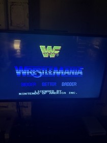 Nintendo NES Game Lot - Double Dragon 3, Top Gun, Karate Kid, WrestleMania, MLB