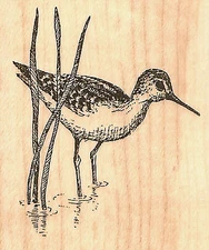 Small Sandpiper Bird Wood Mounted Rubber Stamp Impression Obsession B1259 NEW