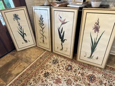 RARE 4 Dan Mitra Botanical Prints Signed Numbered  Matted Framed 41”x 21” READ!!