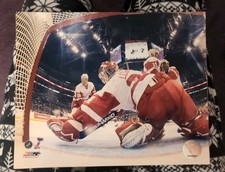 Manny Legace Licensed 8X10 Photo Detroit Red Wings