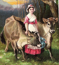 1870s-80s Dr. Jayne's Tonic Vermifuge Jersey's Hawyer & Co Milford Otsego Co. NY